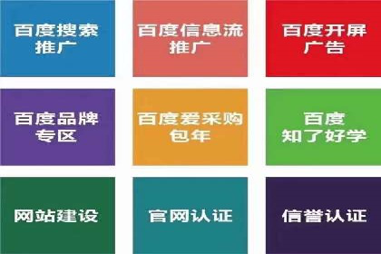 某某企业SEM营销案例解析：SEM在零售行业的成功运用